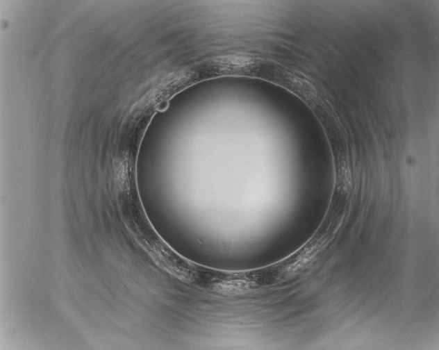 X0000057060468200509091201