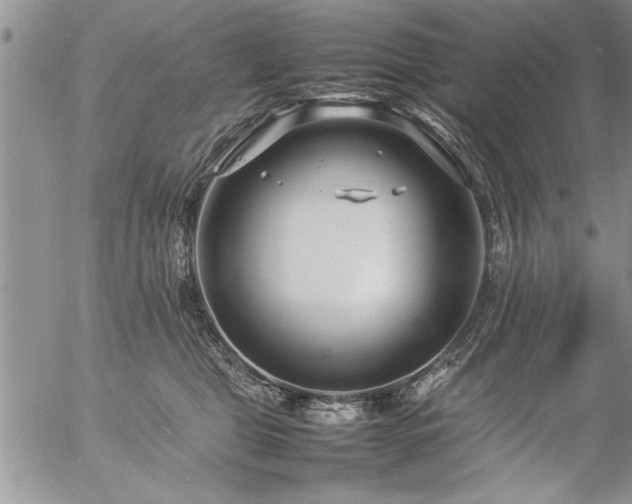 X0000057060469200509091201