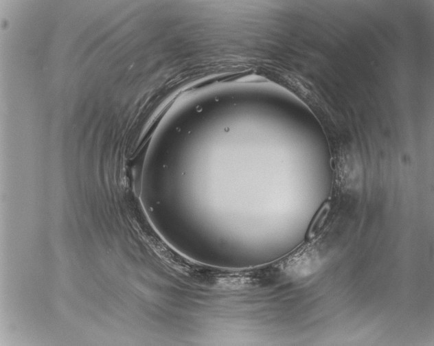 X0000057060470200509091201