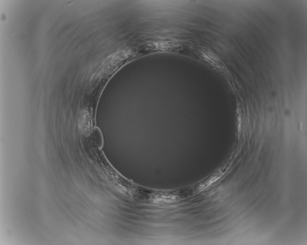 X0000057060471200509091201