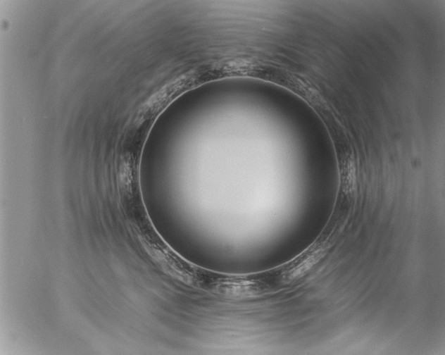 X0000057060472200509091201