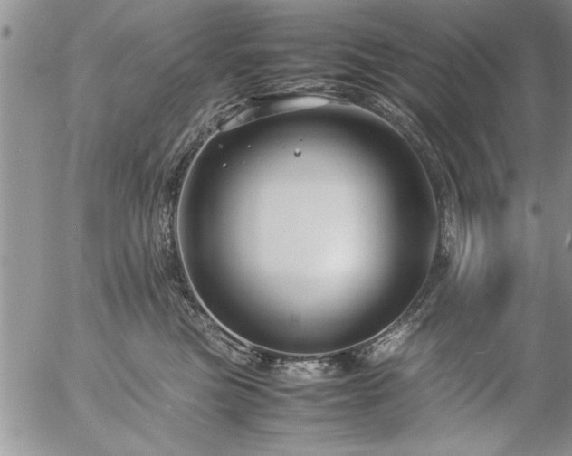 X0000057060473200509091201