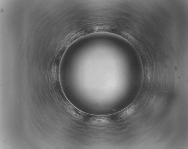 X0000057060475200509091201