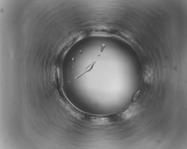 X0000057060476200509091201