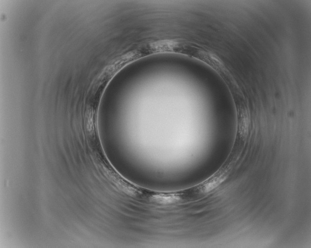 X0000057060477200509091201