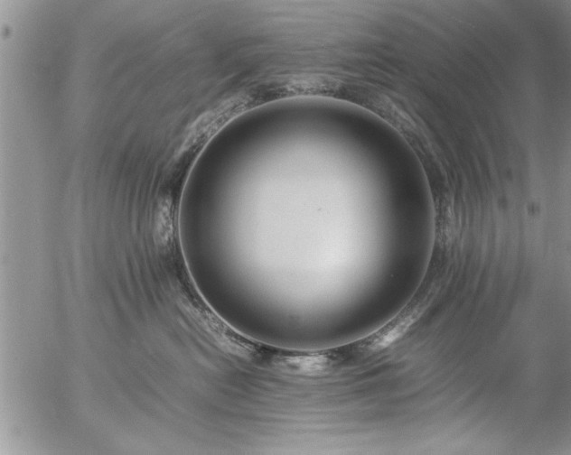 X0000057060478200509091201