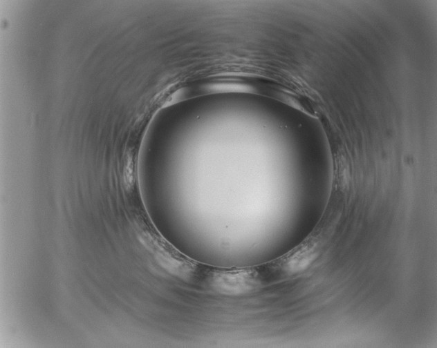 X0000057060479200509091201