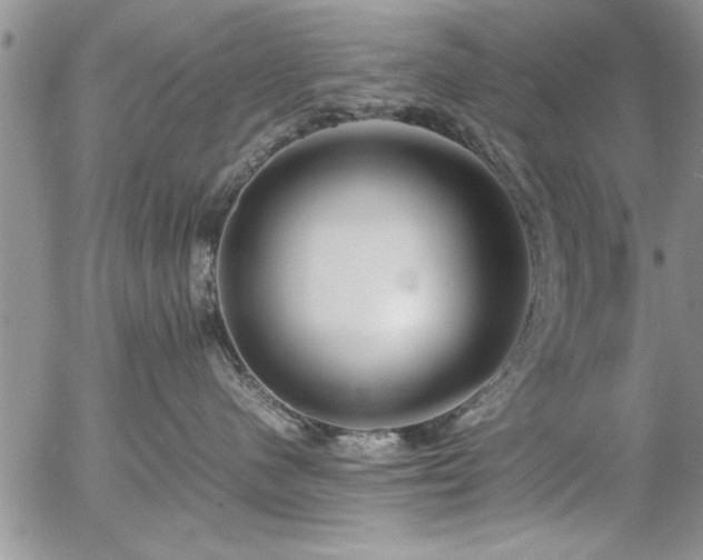 X0000057060480200509091202