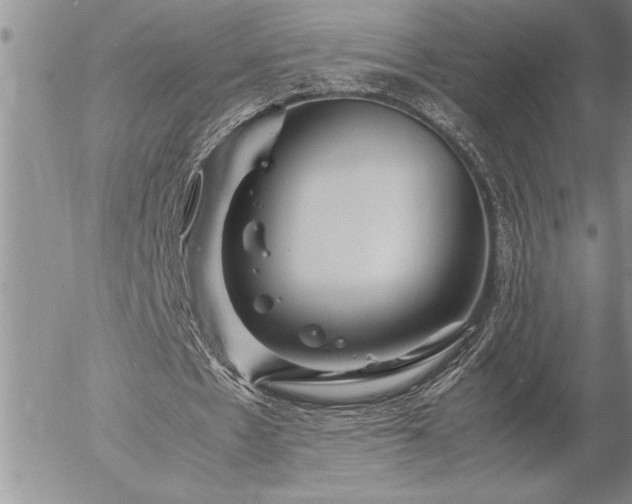 X0000057060481200509091201