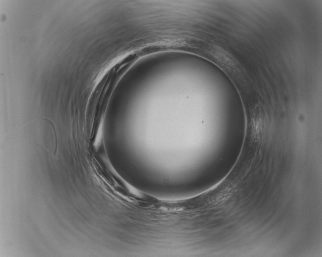 X0000057060484200509091201