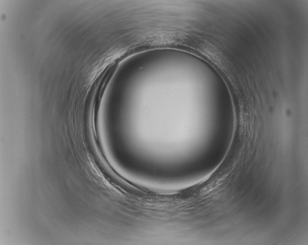 X0000057060485200509091201