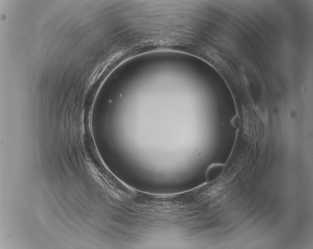 X0000057060486200509091201