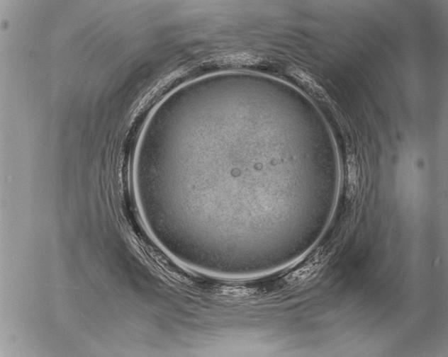 X0000057060487200509091201