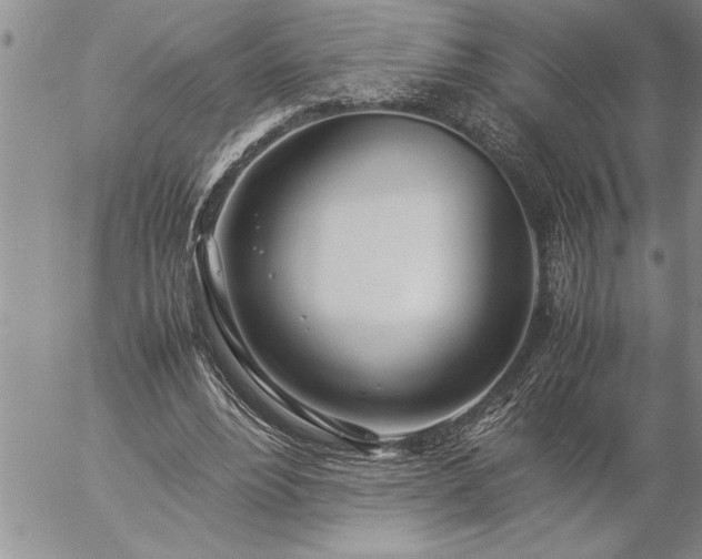 X0000057060488200509091201