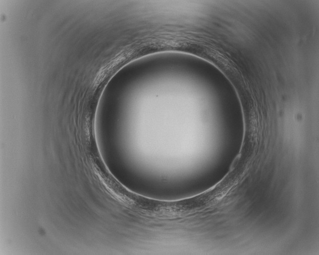 X0000057060489200509091201