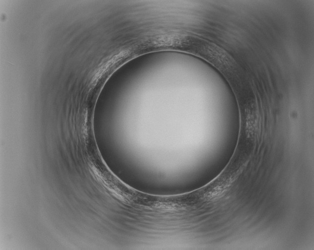 X0000057060490200509091201