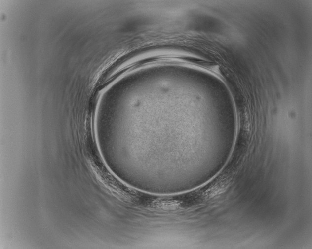 X0000057060491200509091201