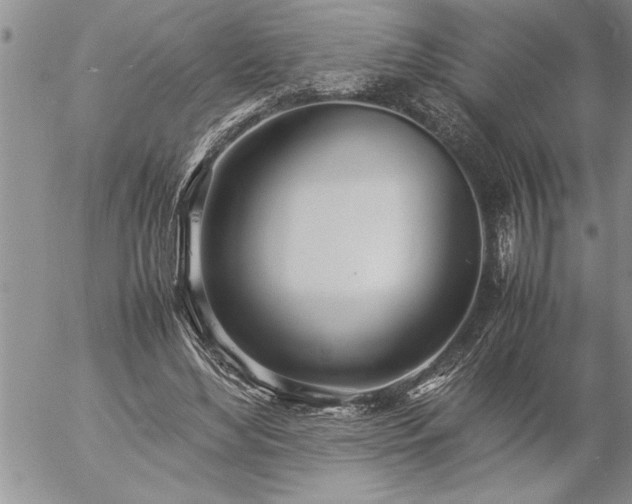 X0000057060492200509091201