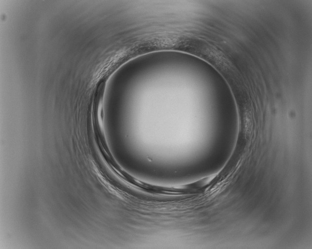 X0000057060493200509091201