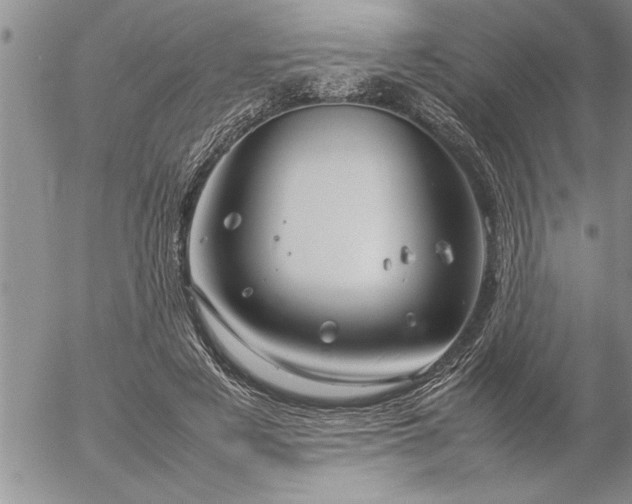 X0000057060497200509091200