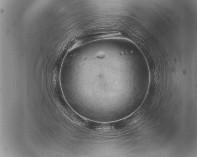 X0000057060499200509091200