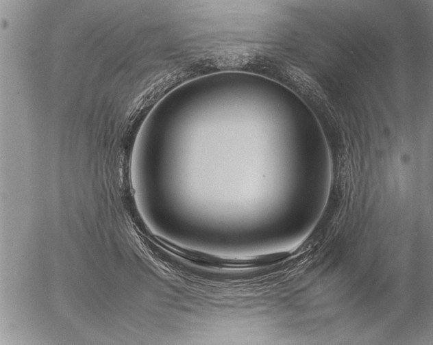 X0000057060501200509091200