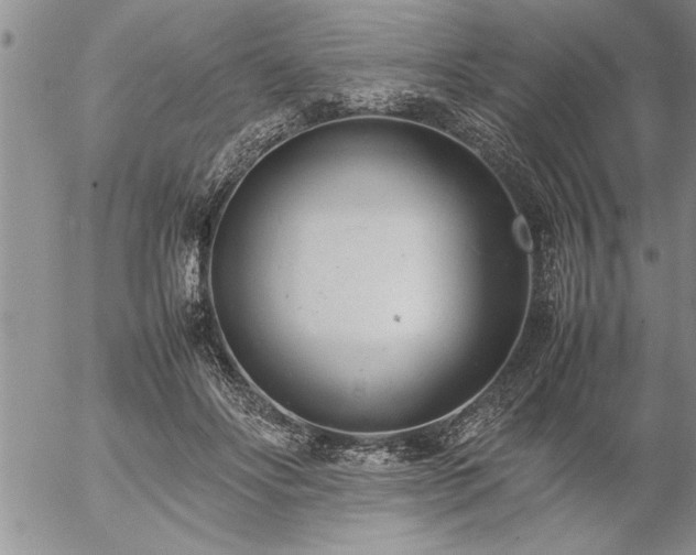 X0000057060502200509091200