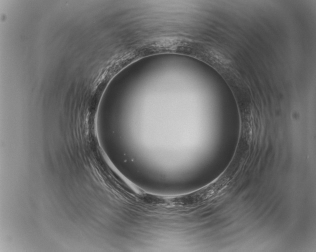 X0000057060504200509091200