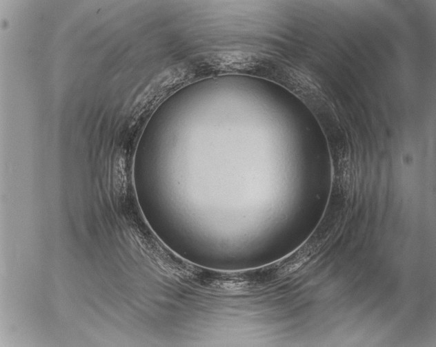 X0000057060506200509091200