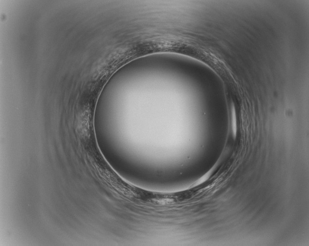 X0000057060509200509091200