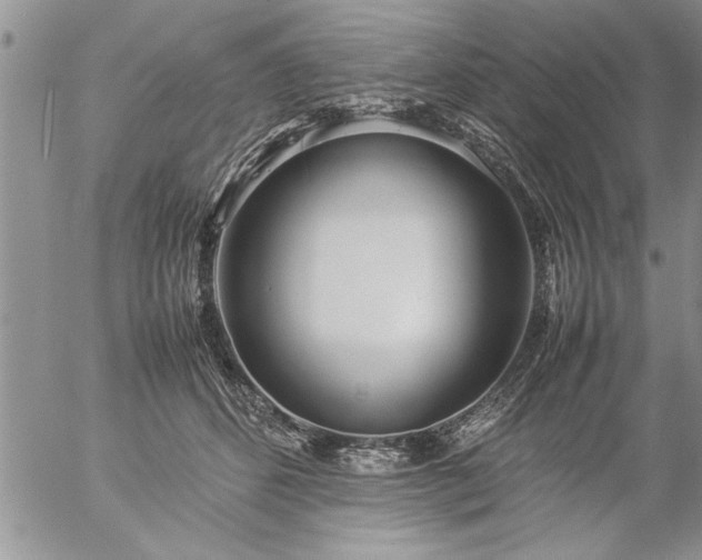 X0000057060512200509091200