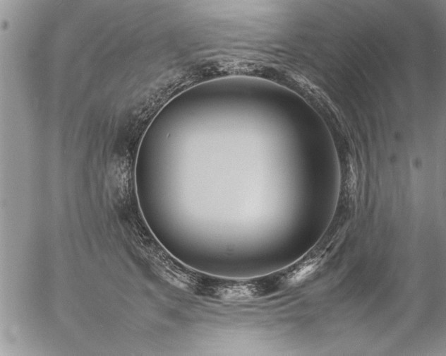 X0000057060513200509091200