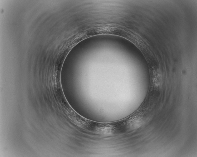 X0000057060514200509091200