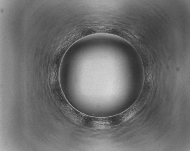 X0000057060515200509091200