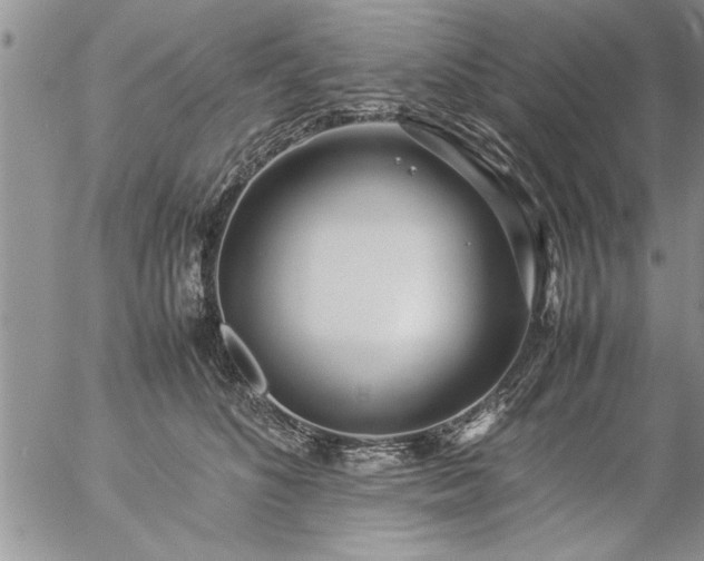 X0000057060516200509091200