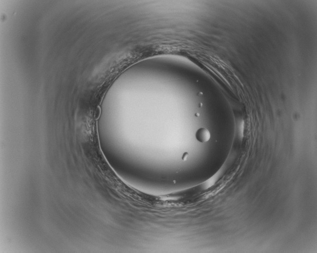 X0000057060517200509091200