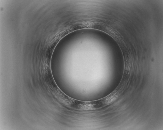 X0000057060518200509091200