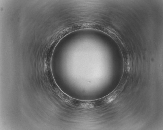 X0000057060520200509091200