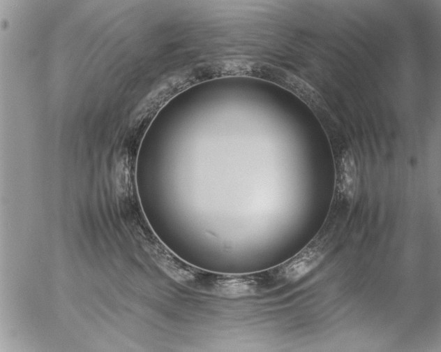 X0000057060522200509091200