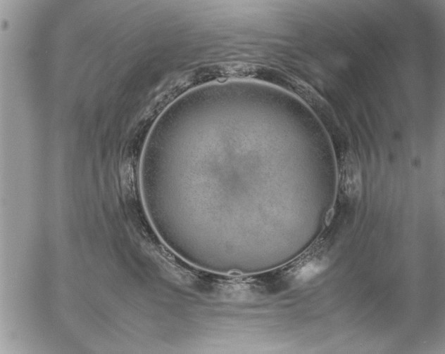 X0000057060523200509091200