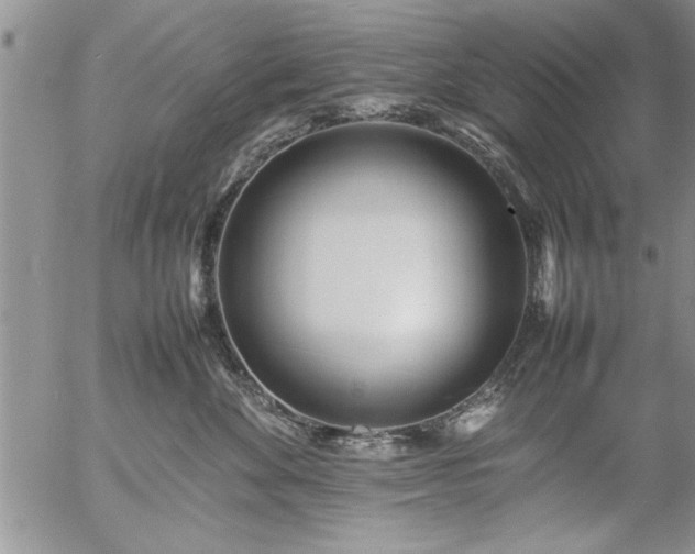 X0000057060524200509091200