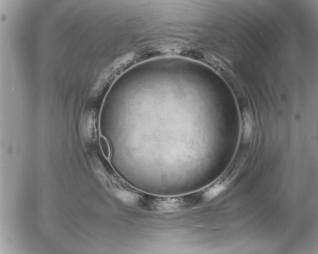 X0000057060527200509091200