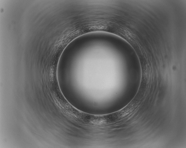 X0000057060551200509091200