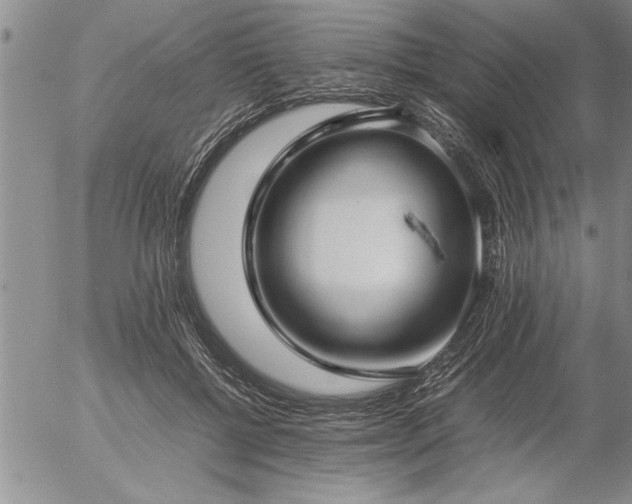 X0000057060552200509091200