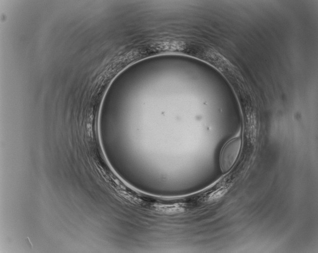 X0000057060553200509091200