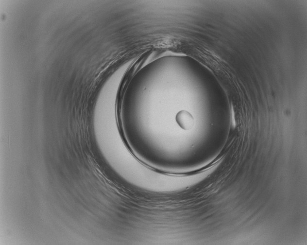 X0000057060556200509091200