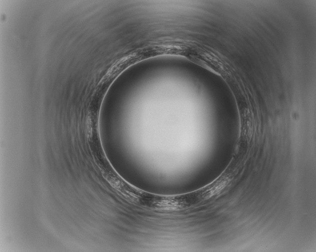 X0000057060562200509091200