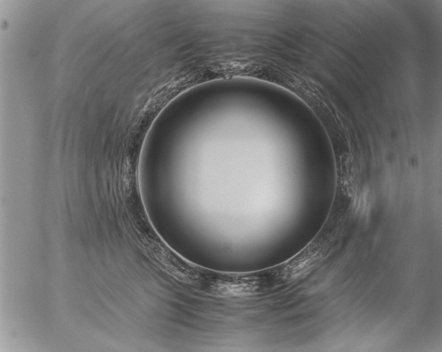 X0000057060563200509091200