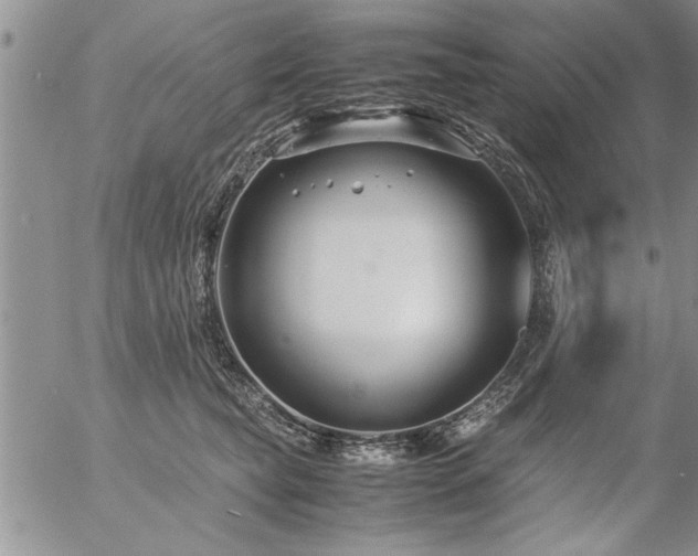 X0000057060565200509091200