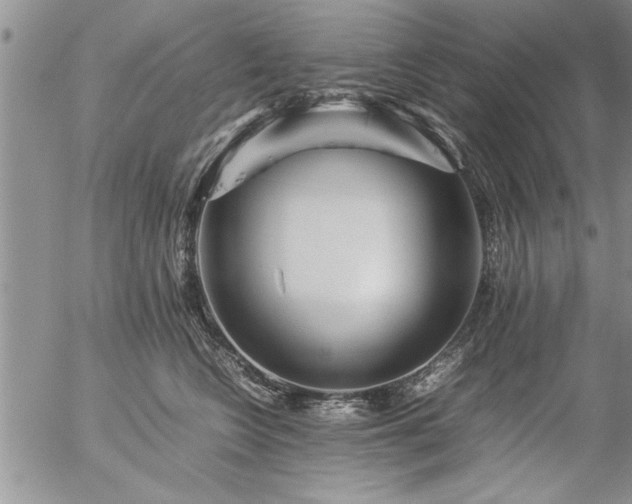 X0000057060566200509091200